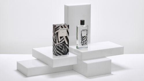 創意視覺交響曲 包裝、插畫、標志與網站的融合之美